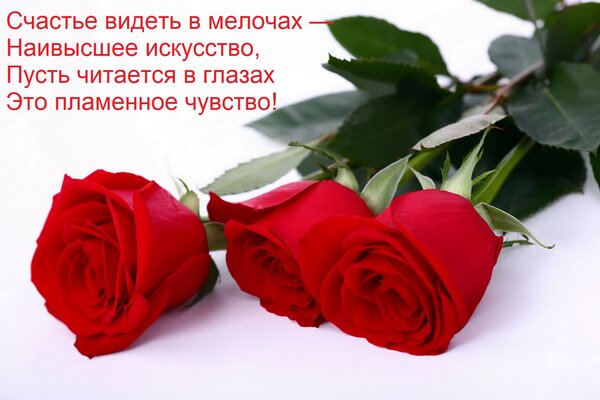 Открытка Счастье видеть в мелочах — Наивысшее искусство, Пусть читается в глазах Это пламенное чувство!