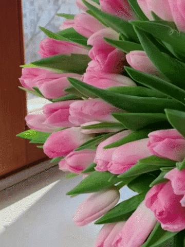 Анимированная открытка Добрый день!