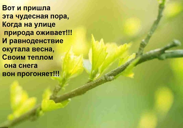 Открытка Вот и пришла эта чудесная пора, когда на улице природа оживает! И равноденствие окутала весна, 