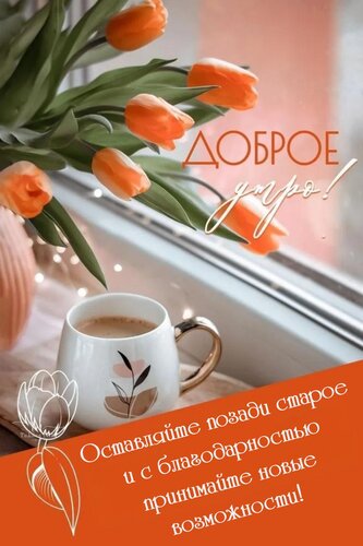 Открытка Оставляйте позади старое и с благодарностью принимайте новые возможности!