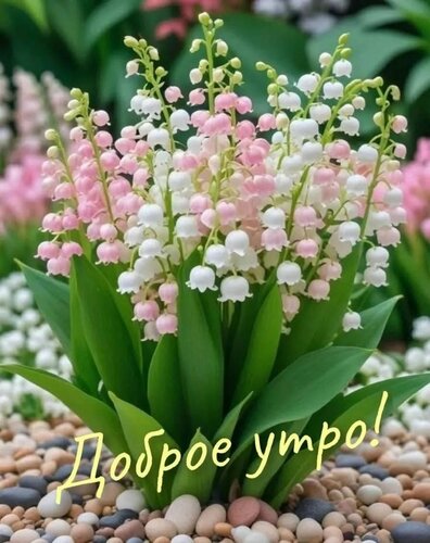 Открытка доброе утро