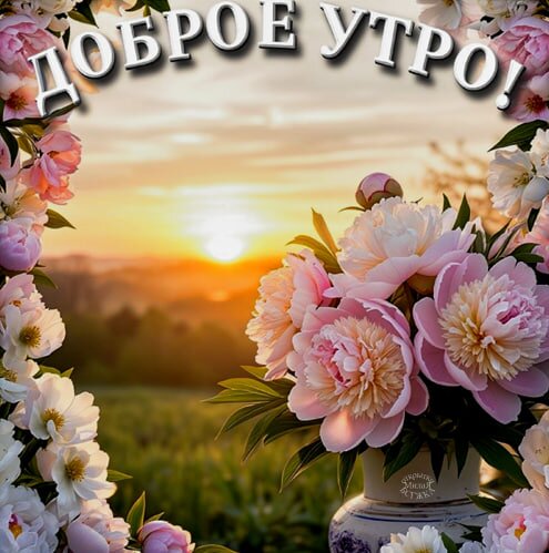 Открытка Доброе утро!