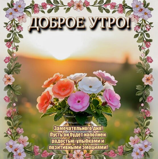 Открытка Доброе утро!