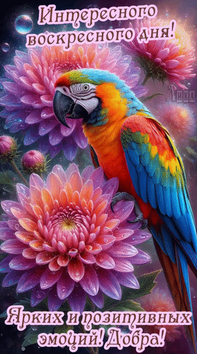 Анимированная открытка Воскресенье