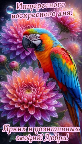 Открытка Воскресенье