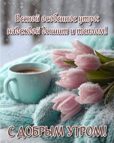 Открытка Весной особенное утро: надеждой дышит и теплом!