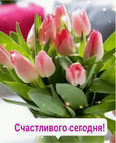 Анимированная открытка Счастливого сегодня!