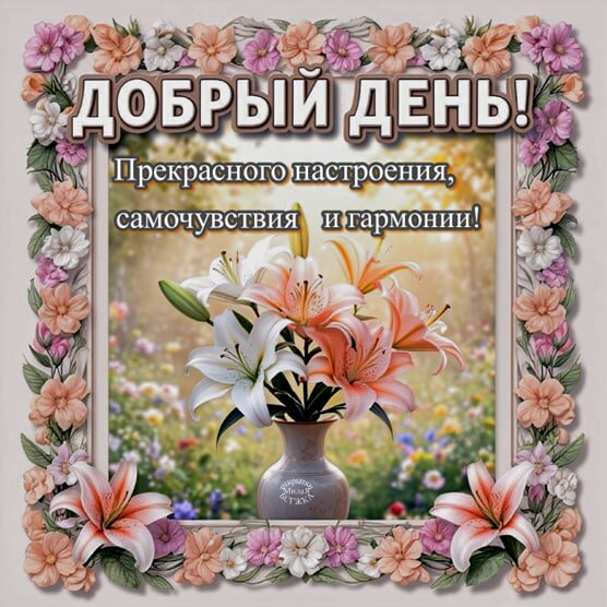 Открытка Добрый день! Прекрасного настроения, самочувствия и гармонии!