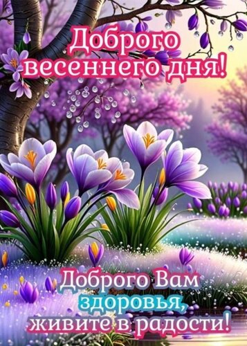 Открытка Доброго дня!