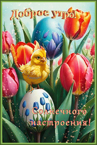 Открытка Доброе утро! Солнечного настроения!