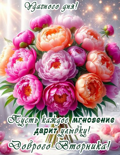 Открытка Вторник