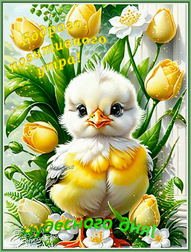 Анимированная открытка Бодрого, позитивного утра! Чудесного дня!