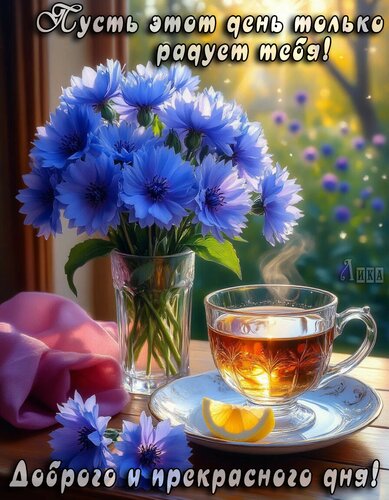 Открытка Добрый день