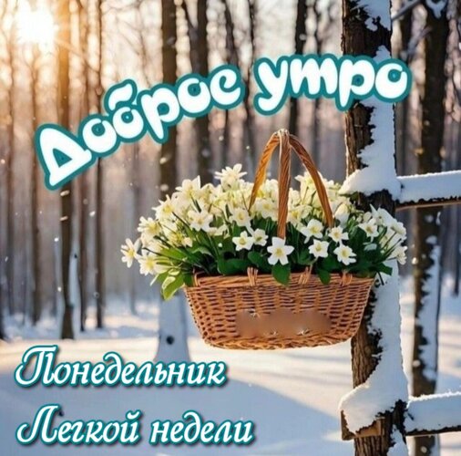 Открытка Доброе утро Понедельник Легкой недели