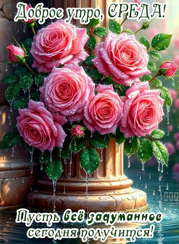 Открытка Среда