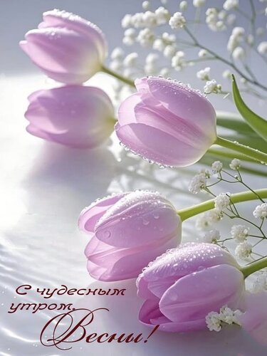 Открытка С чудесным утром Весны!