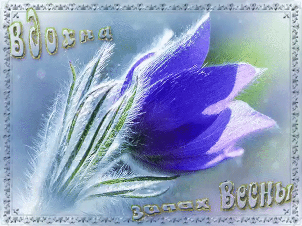 Анимированная открытка Весна.