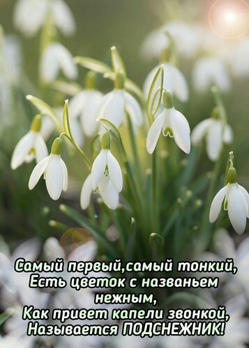 Открытка Самый первый, самый тонкий