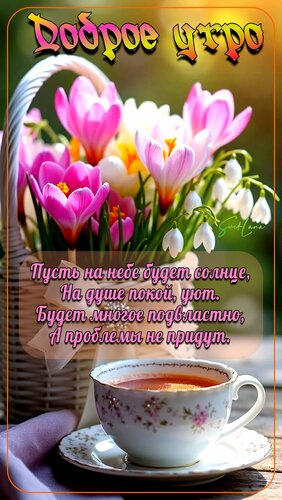 Открытка Доброе утро.