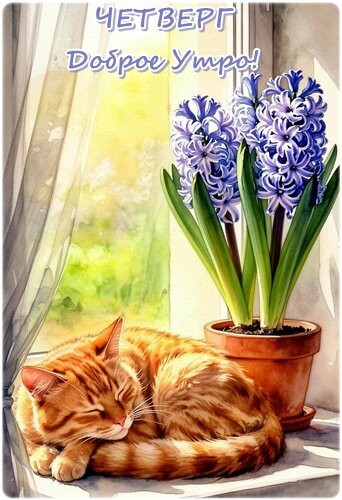 Открытка ЧЕТВЕРГ, ДОБРОЕ УТРО!