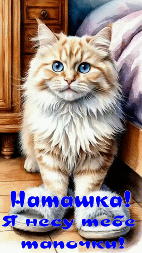 Анимированная открытка Наташка! Я несу тебе тапочки!