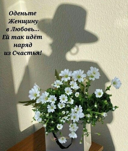 Открытка Оденьте женщину в любовь