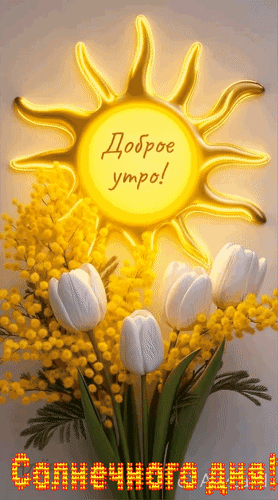 Анимированная открытка Доброе утро! Солнечного дня!