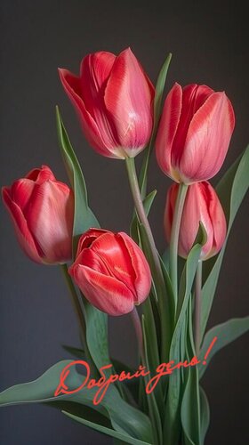 Открытка Добрый день!