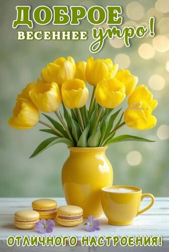 Открытка ДОБРОЕ ВЕСЕННЕЕ УТРО! ОТЛИЧНОГО НАСТРОЕНИЯ!