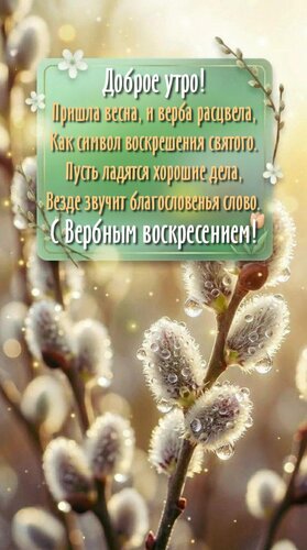 Открытка Пришла весна,и верба расцвела,Как символ воскрешения святого.Пусть ладятся хорошие дела...