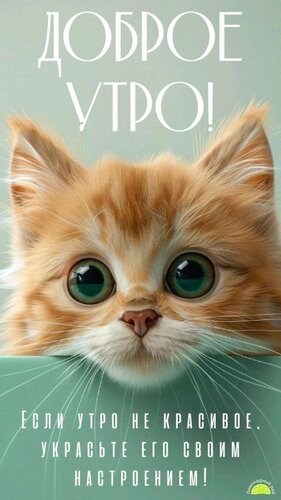 Открытка Доброе утро