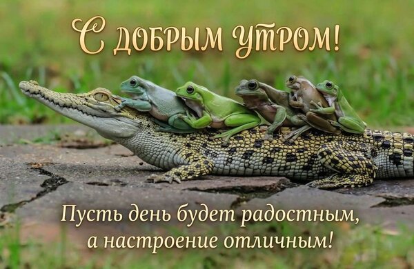 Открытка С добрым утром! Пусть день будет радостным, а настроения отличным!