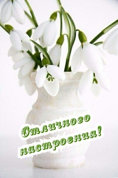 Открытка Отличного настроения!