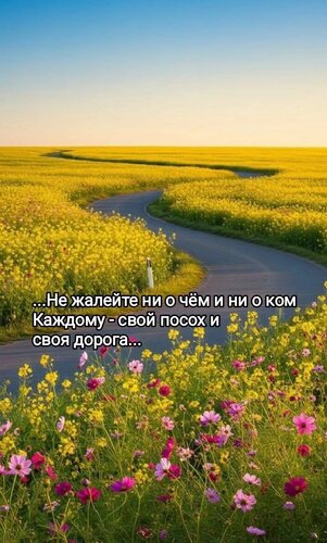 Открытка Не жалейте ни о чем