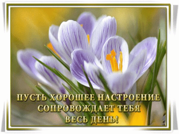 Анимированная открытка Пусть хорошее настроение сопровождает тебя весь день!