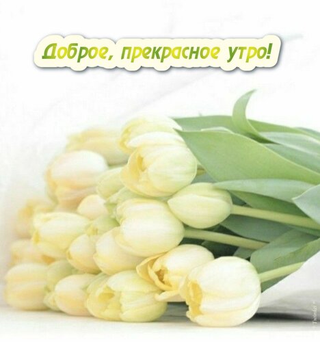 Открытка Доброе прекрасное утро!