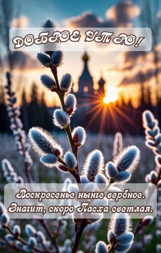 Открытка Воскресенье нынче вербное. Значит, скоро Пасха светлая.