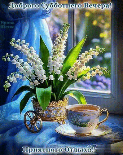 Анимированная открытка Доброго Субботнего Вечера!