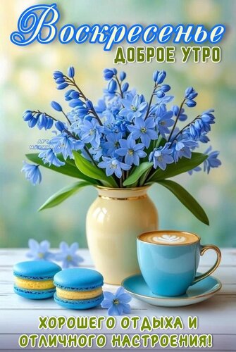 Открытка ВОСКРЕСЕНЬЕ. ДОБРОЕ УТРО. ХОРОШЕГО ОТДЫХА И ОТЛИЧНОГО НАСТРОЕНИЯ!