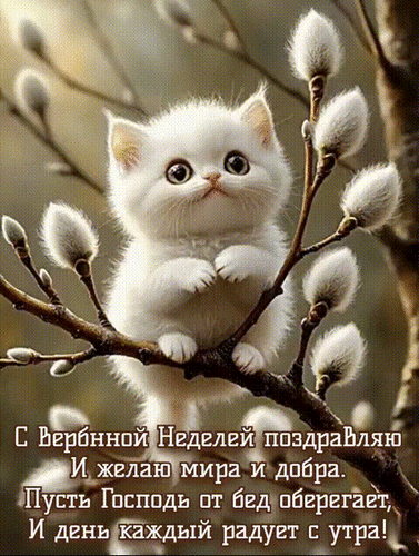 Анимированная открытка Вербная Неделя