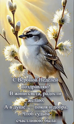 Анимированная открытка С Вербной Неделей!