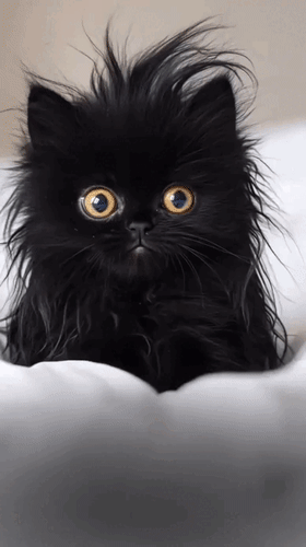 Анимированная открытка - Ты кто? - Понедельник. - Чего надо? - Да ниче. Просто пришел.