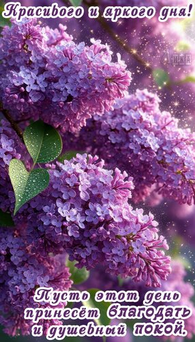 Открытка Добрый день