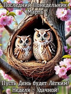 poslednij-ponedelnik-marta.jpg?z=88