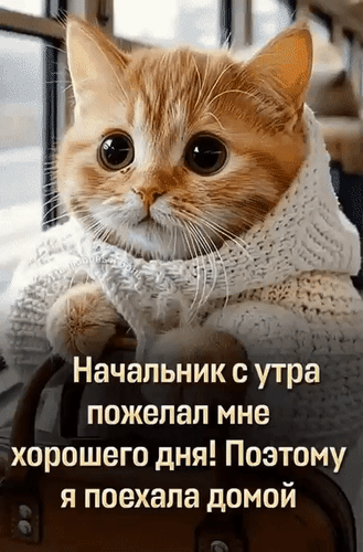 Анимированная открытка Начальник с утра пожелал мне хорошего дня! Поэтому я поехала домой.