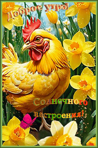 Анимированная открытка Доброе утро! Солнечного настроения!