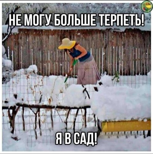 Открытка не могу больше терпеть я в сад