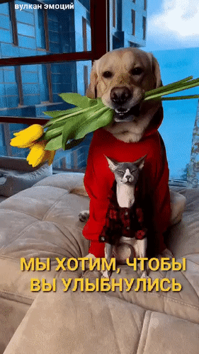 Анимированная открытка Мы хотим, чтобы вы улыбнулись