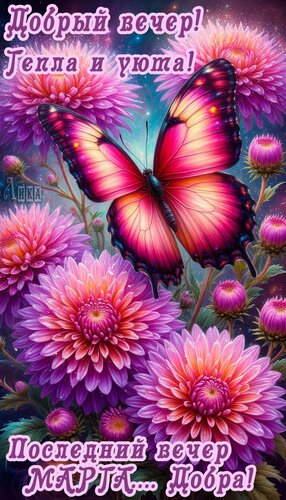 Открытка Последний вечер Марта