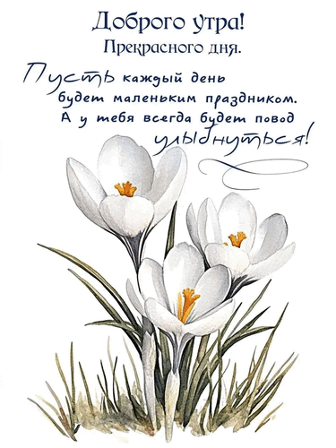 Анимированная открытка Доброго утра! Прекрасного дня! Пусть каждый день будет маленьким праздником. А у тебя всегда будет...